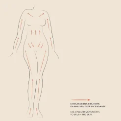 Outils De Massage|Beauty Tools*Oh My Cream Skincare Brosse à Sec Corps