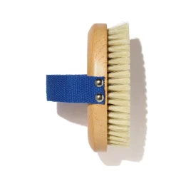 Outils De Massage|Beauty Tools*Oryza Lab Brosse Tonifiante Corps