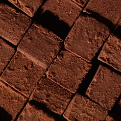 Peau|Pop-Up*Holidermie Cubes Cacao au Collagène