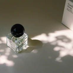 Fruité|Lifestyle*Racyne Garden Song