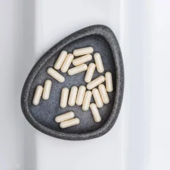 Immunité|Silhouette*Dijo Glutamine Complément Intestinal