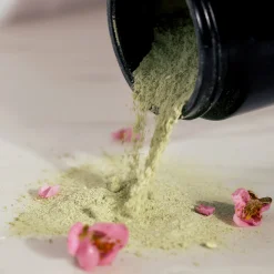 Nettoyants*Odacité Green Ceremony Cleanser Nettoyant Cérémonie Spiruline & Matcha