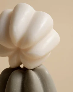 Shampoings*Umaï Le Shampoing Solide Doux