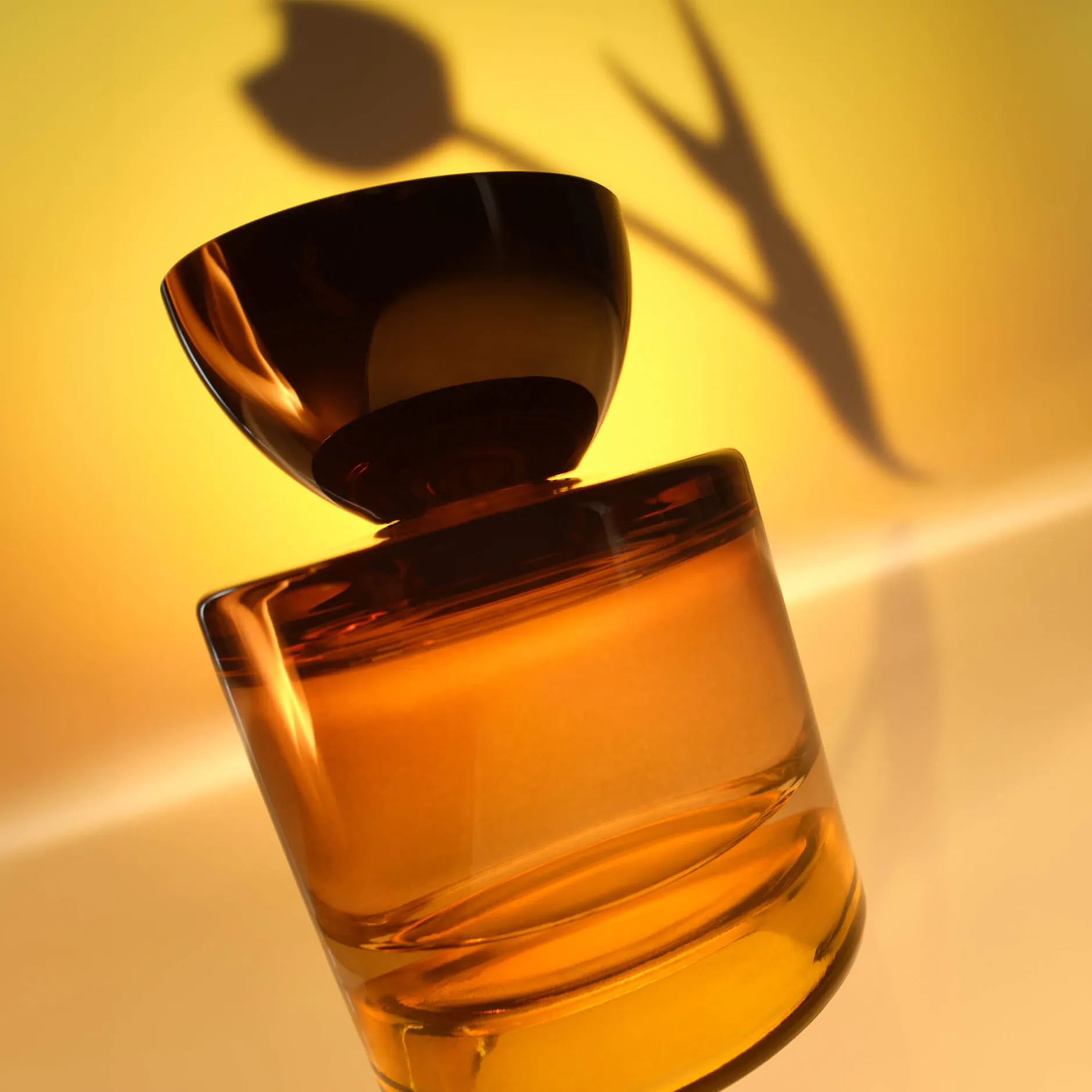 Boisé|Vert*Vyrao Magnetic 70