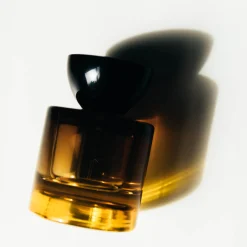 Boisé|Vert*Vyrao Magnetic 70